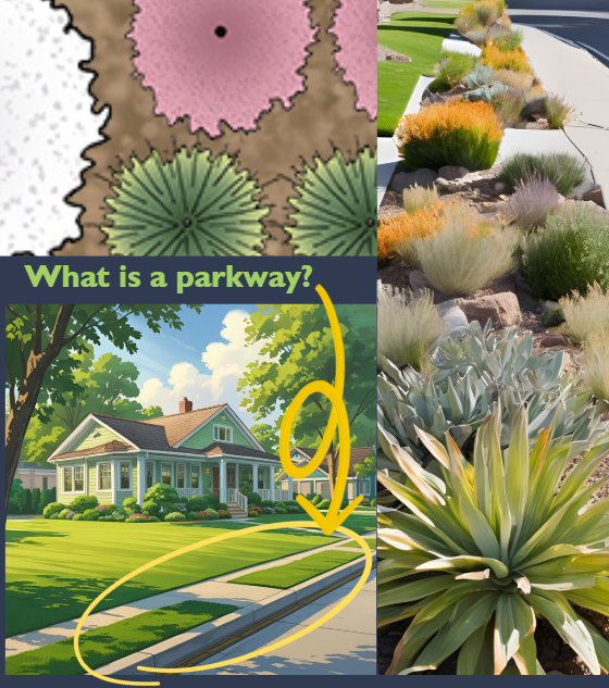 parkway web graphic